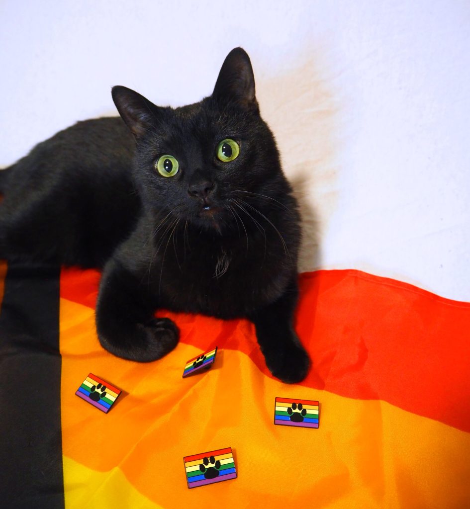 Støttepin: Bat, The Cat + Dyrebeskyttelsen